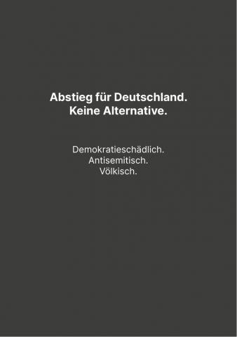 Abstieg für Deutschland. Keine Alternative. Demokratieschädlich. Antisemitisch. Völkisch.
